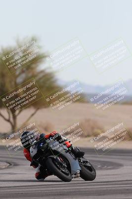 media/Nov-30-2025-TrackXperience (Sun) [[c0061d280f]]/2-Level 2/Session 6 Turn 4 Tree of Life/